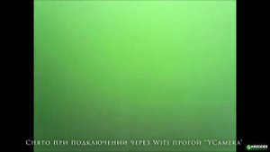 Эндоскоп в качестве подводной камеры летом. Без лодки и по цветущей воде)) Лайфхак