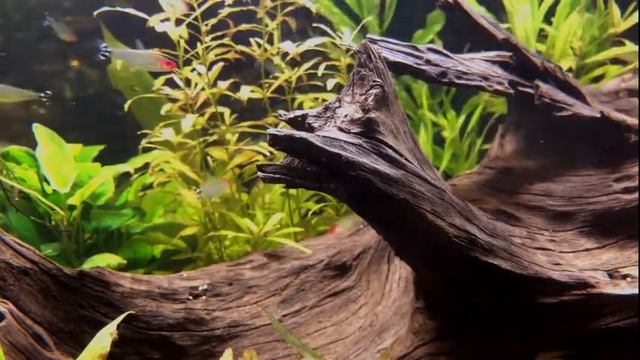 Красивая спокойная музыка для успокоения нервной системы. смотреть онлайн