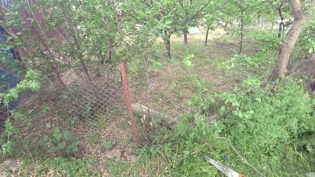 Гоним самогон. Пришла теща и понеслось. Зубы сделаны. Влог