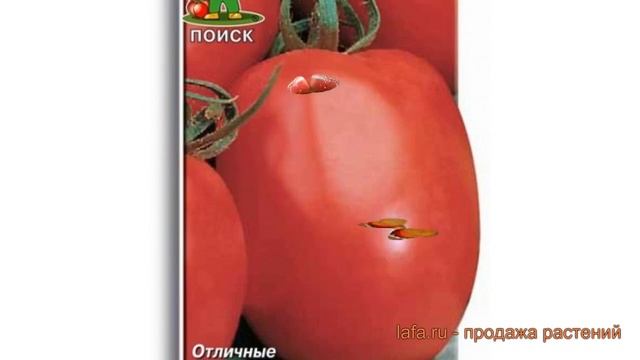 Томат обыкновенный Новичок розовый ? обзор: как сажать, семена томата Новичок розовый смотреть онлайн