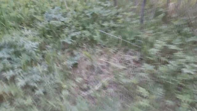 коп по металлу. Удачный выезд. 100кг в час! смотреть онлайн