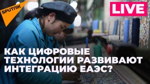 Поиск работы и лёгкая промышленность: видеомост о новых цифровых проектах для стран ЕАЭС
