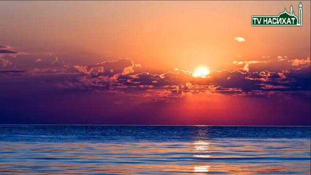 Бедняк и богатый купец ( поучительная история ) смотреть онлайн