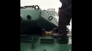Енот застрял в танке
