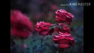 Я Шахьру Рамадан( нашид на чеченском языке)