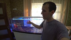 Запускаю ТОП травник на 500 литров. Часть 1 - тумба, аквариум, грунт, свет, фильтр и запуск
