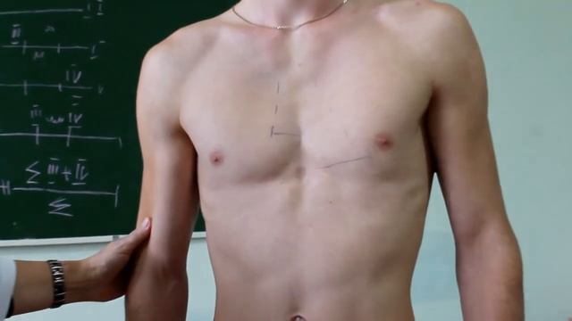 Исследование органов кровообращения: Перкуссия сердца смотреть онлайн