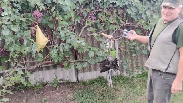 тульская область,кимовский район,д.львово. в гостях у Михаила!