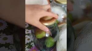 Компот Из СЛИВ и Груш