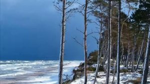 Сотвори во мне сердце мудрое