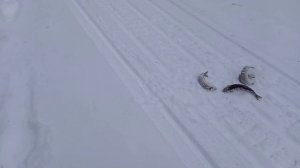 зимняя рыбалка хариуса в глухой тайге 5 дней с женой. Видели лося глухарей норку.