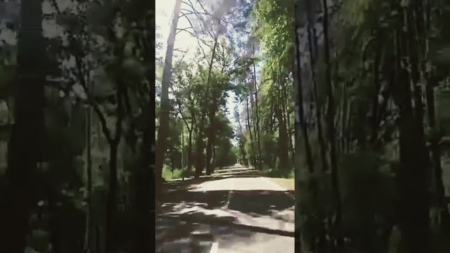 Video.Guru_20230813_093620923~2.mp4 смотреть онлайн