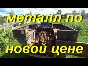 Сдал металл по новой цене. Испытываю новый способ поднятия кустов. Свернул палатку. Вечерний чай с