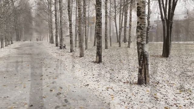 Улица Московская. Первый снег - город Киров.