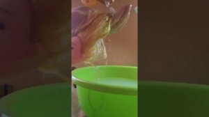 Выпрямляем волосы кукле Барби