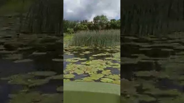 р.Теза Городской пляж лодка Кайман 300  болотоход мотор 7л.с.гибкий вал 3 чел. смотреть онлайн