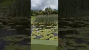 р.Теза Городской пляж лодка Кайман 300  болотоход мотор 7л.с.гибкий вал 3 чел.