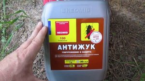 Чем уничтожить жука древоточца