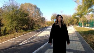 Высадка аллеи "Ива ломкая шаровидная"