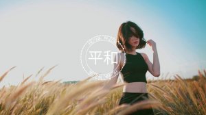 Flume - Never Be Like You Ft. Kai (Xander Leonis Remix)