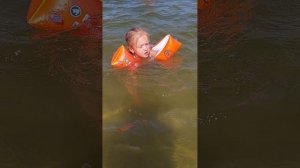 Отдых на берегу реки Дон. Станица Мелиховская Ростовской области.