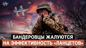 Бандеровцы жалуются на эффективность «Ланцетов»