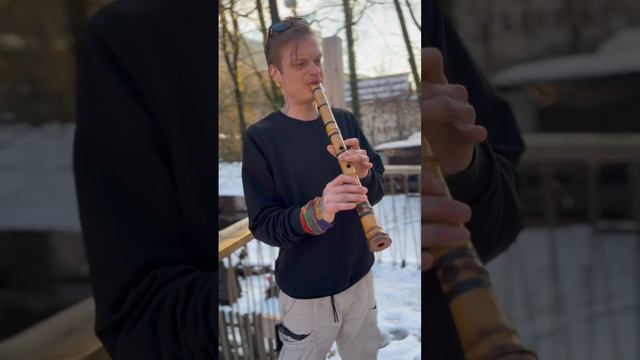 Медитативное звучание флейты сякухати от Димы Ansi
