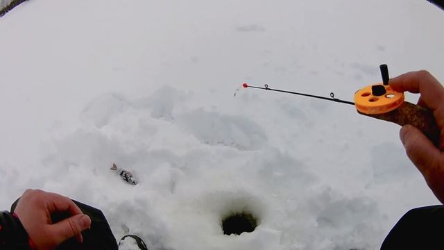 Поймала ЗОЛОТУЮ РЫБКУ! Рыбалка в Карелии 2021 смотреть онлайн