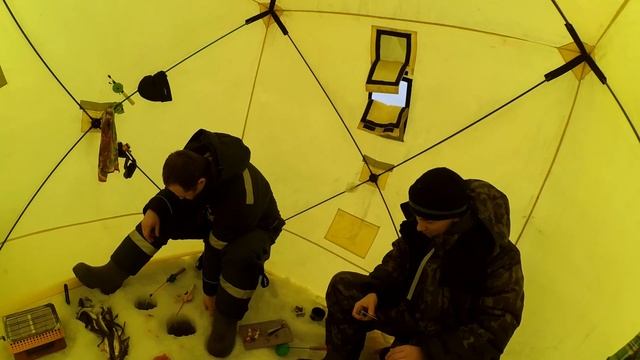 Рыбалка. Ухта онежский берег. Нелохой клев наваги.