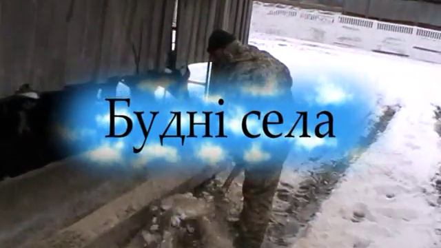 СТФ,МТФ "Сестрички", "Скрипка" день с/господ. Новошляхівська ЗОШ смотреть онлайн