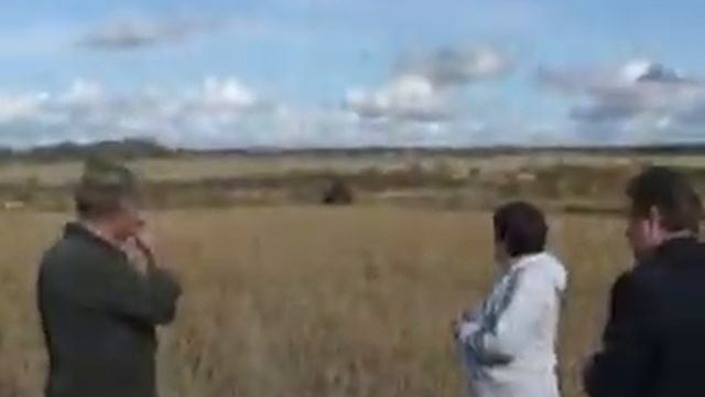 Русское поле 2009 смотреть онлайн