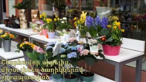 Ծննդյան շնորհավորանք մոտ ընկերուհուն 2019