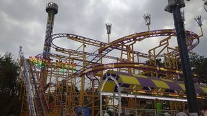 Аттракцион "Дикая мышь"