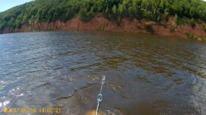 Ловля Сома на квок. 25 кг.