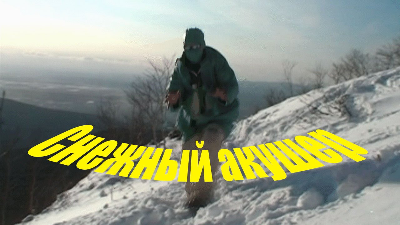 Снежный акушер