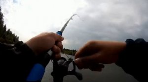 Бешенный клёв подлещика   Поклёвка карпа   Ловля подлещика на фидер