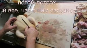 Забой кур бройлеров в домашних условиях Видео ч.3 Разделка бройлера, потрошение птицы