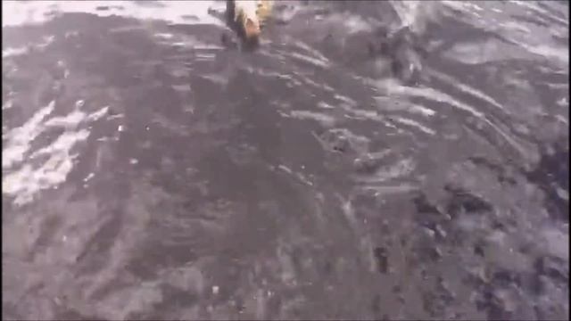 Шведские щучки смотреть онлайн