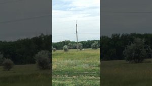 Егерь 6.35 полнотел 3,3г 170 метров