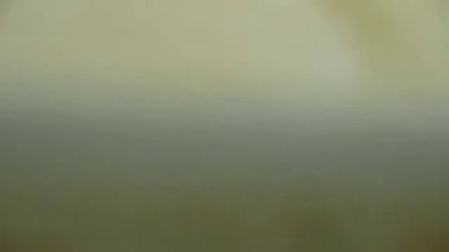 Универсальный отсадник для аквариумных рыб смотреть онлайн