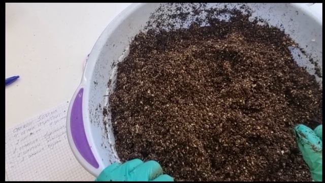 Грунт для эустомы смотреть онлайн