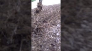 Плуг трехкорпусный со стойками параплау