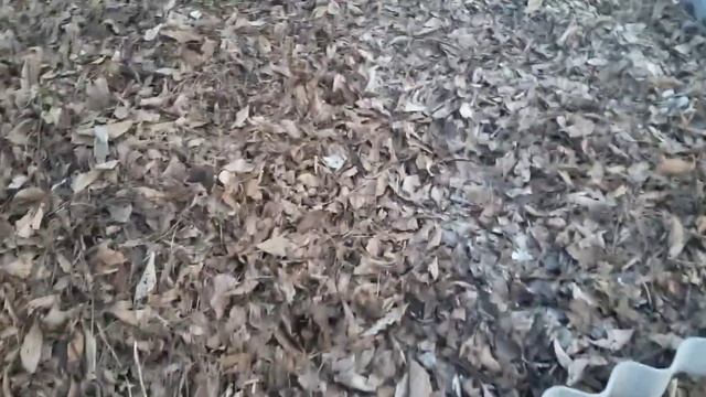 выходной на даче у друзей. Про погоду, про тюльпаны и ленивую грядку смотреть онлайн