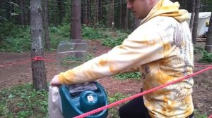 Комары и ловушки для комаров. Уничтожители комаров