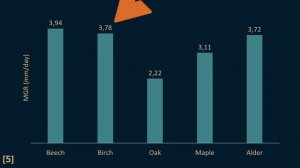 How to find the best substrate for Black Poplar Mushroom