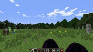 Как призвать (приручить) дракона в Майнкрафте [Обзор мода Dragon Mounts]