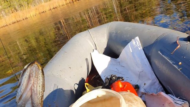 ЩУКА НА САМОЛОВКУ. смотреть онлайн