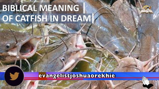 Biblical Meaning of CATFISH In Dreams - Dream About Catfish смотреть онлайн