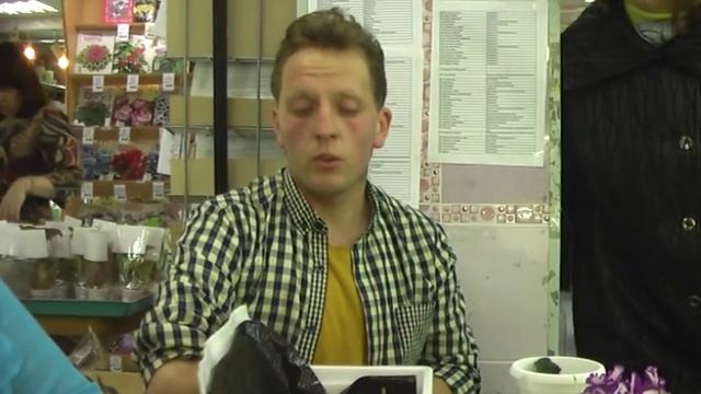 ДФ.Опыт выращивания сенполий химер.И.Рачков