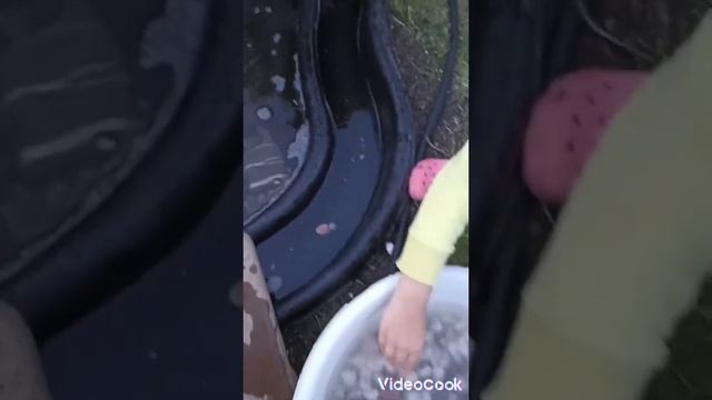 Пруд с водопадом и подсветкой своими руками